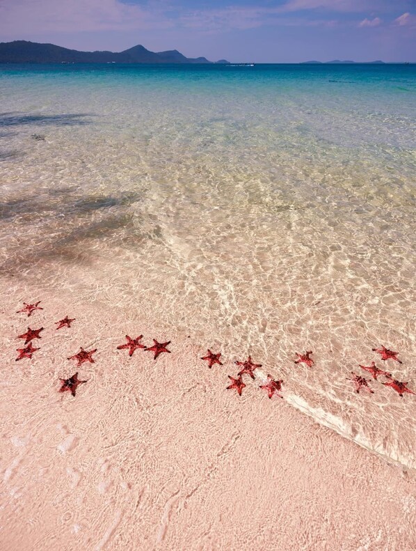 Beach - Rei Gallery Phu Quoc - Ocean (Phu Quoc)