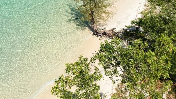 A beach with clear turquoise water, a sandy shore, and dense green foliage. - Rei Gallery Phu Quoc - Ocean (Phu Quoc)