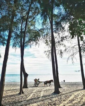 Playa
