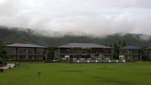 外觀