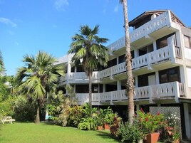 Un hotel de varios pisos con balcones, rodeado de palmeras y plantas diversas.