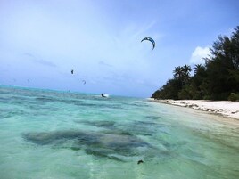 Una playa con aguas turquesas cristalinas, una orilla arenosa y palmeras.