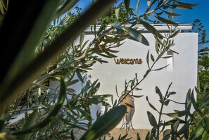 Exterior detail - La Stella Hotel (Mykonos)