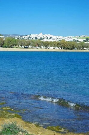 Miscellaneous - Oasis (Paros)