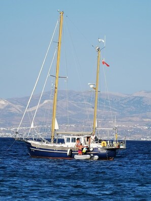 Miscellaneous - Oasis (Paros)