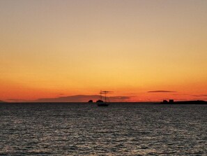 Miscellaneous - Oasis (Paros)