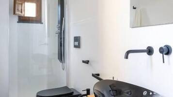 Separate tub and shower, hair dryer, towels, toilet paper