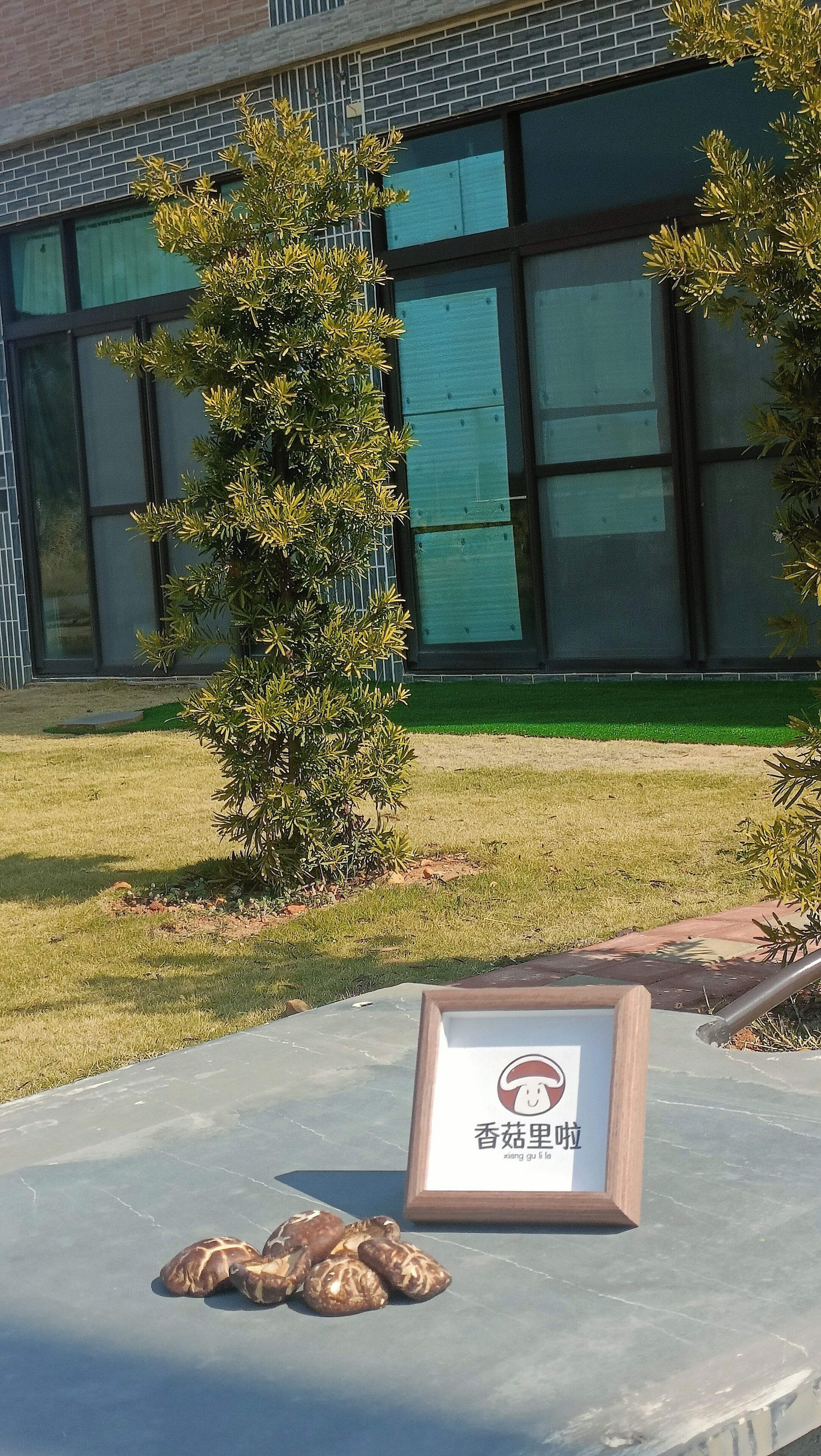 Laptop workspace, free WiFi