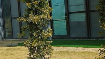 Laptop workspace, free WiFi