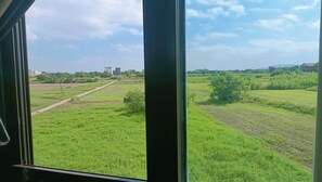 View from room - Mushrooms (Jinning Township)