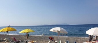 Fruit Village Patti Beach resort