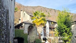 A rustic house with a stone entrance, a thatched roof, and a palm tree in the foreground. - Cavigliano Rustic (Cavigliano)