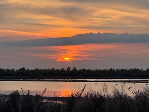 Miscellaneous - Casa Turchina, a renovated old fishing lodge surrounded by nature (Veneto)