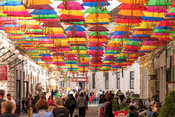 1st Nest In Heart Of Timisoara - Timișoara