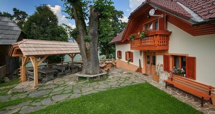 Farmstay&Glamping Visočnik