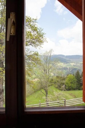 Doppia Deluxe, vista montagna | Interni