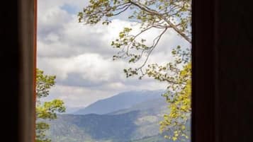 Apartemen Keluarga, pemandangan gunung | Interior