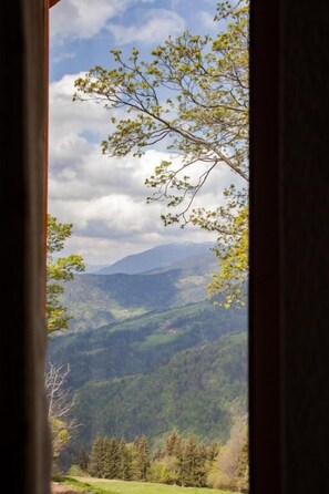 Family Apartment, Mountain View | Interior