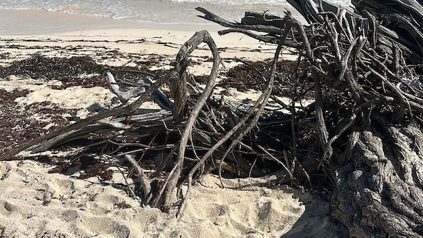 Ein Strand mit klarem türkisblauem Wasser und einem sandigen Ufer.