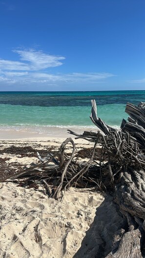 Ein Strand mit klarem türkisblauem Wasser und einem sandigen Ufer.