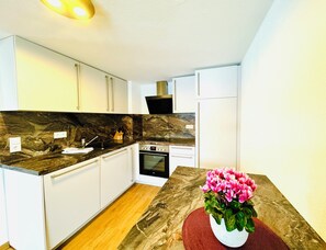 Kühlschrank, Ofen, Herdplatte, Geschirrspüler
