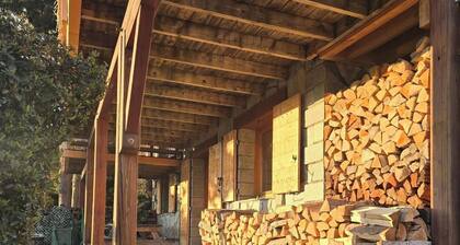 Appartement de 37 m2 dans RDC chalet vue lac plein sud