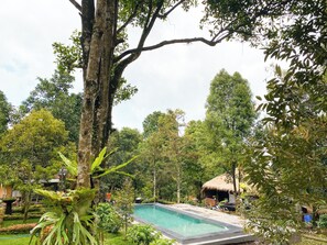 Outdoor pool - Wimala Farm House (Munduk)