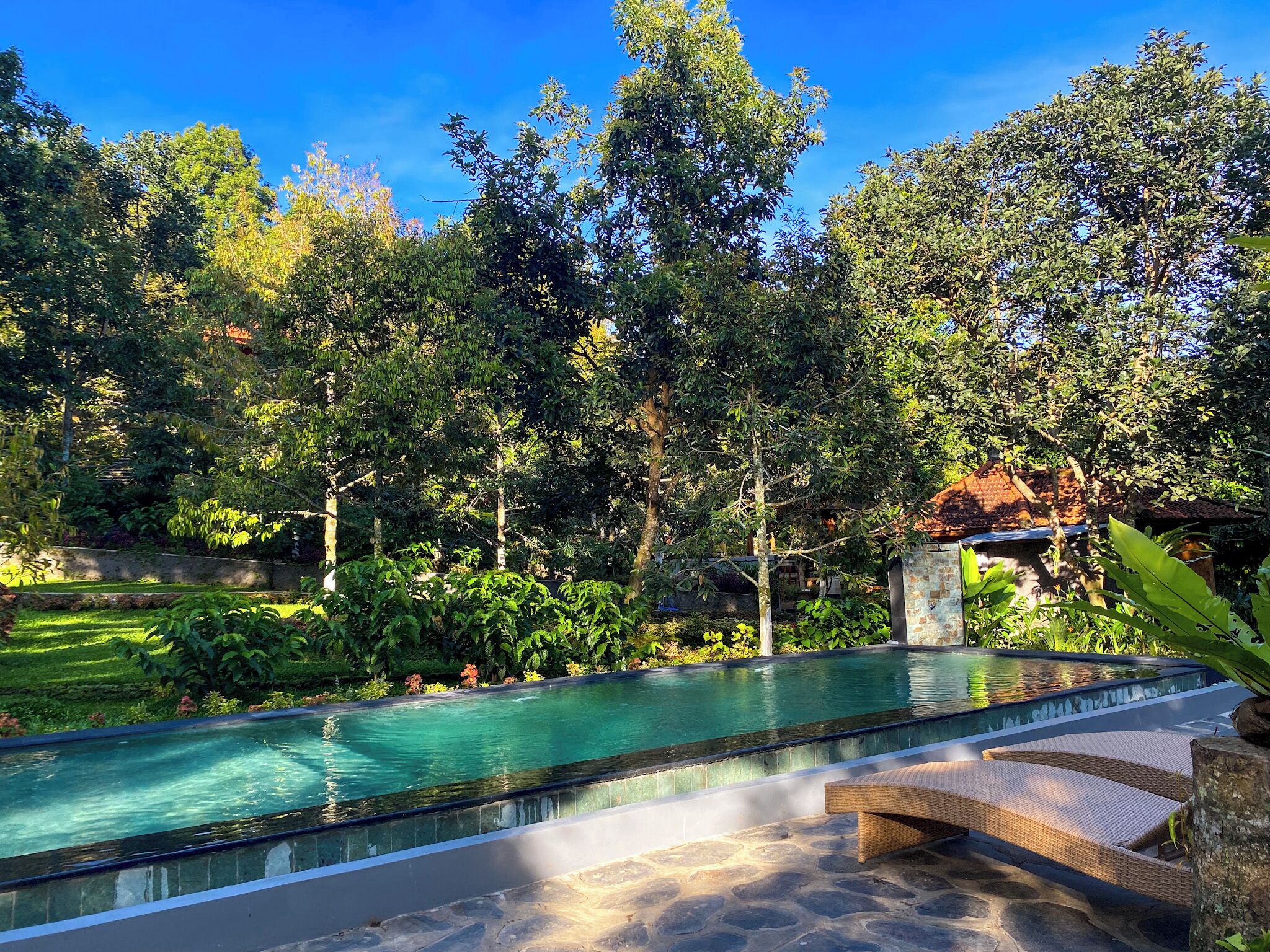 Una piscina con solárium de piedra, rodeada de abundante vegetación y árboles.