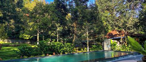 Una piscina con solárium de piedra, rodeada de abundante vegetación y árboles.