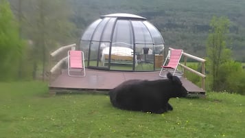 Àrea exterior de l'allotjament