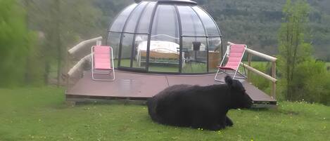 Overnattingsstedets uteområder