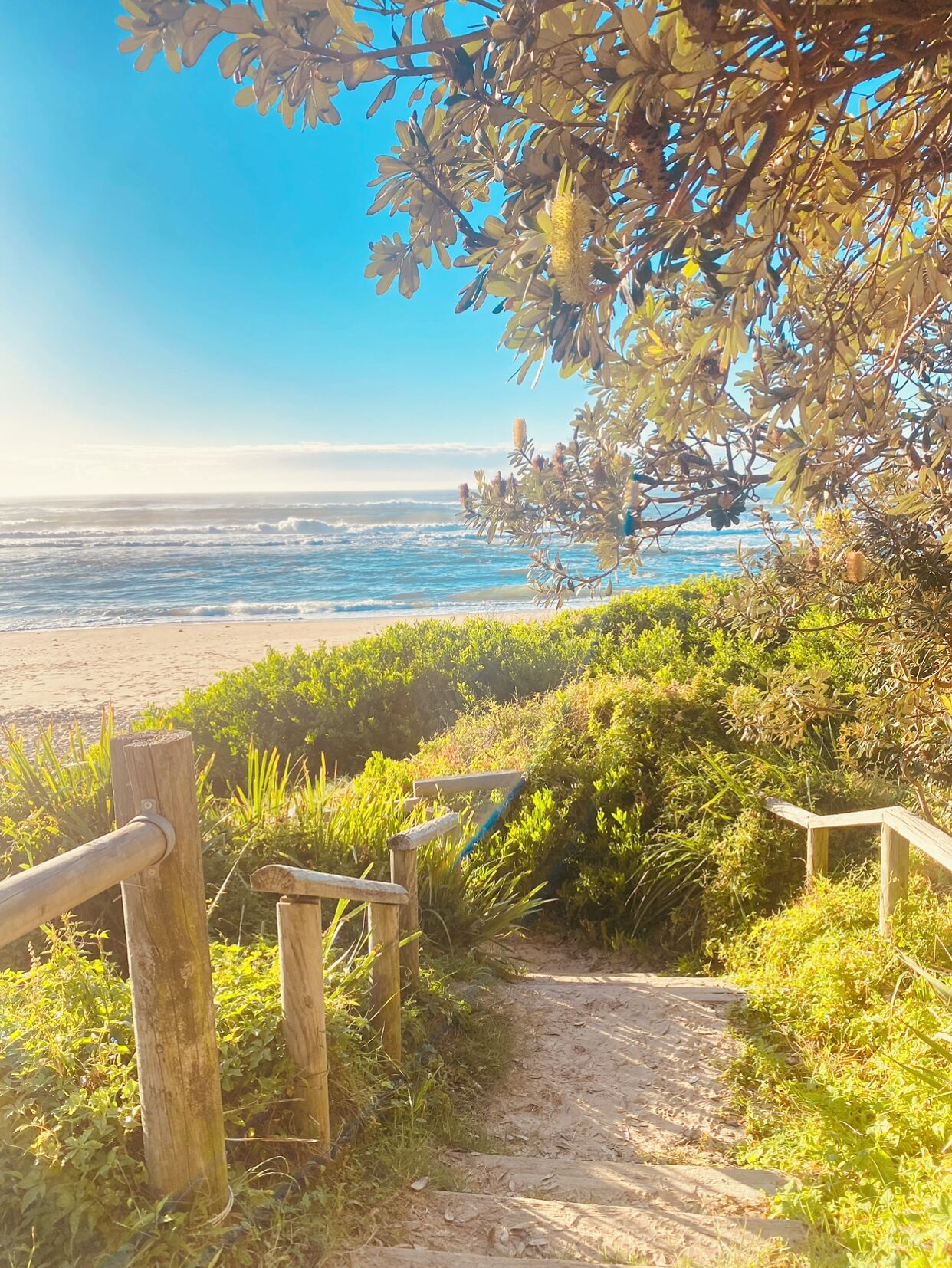 Strand