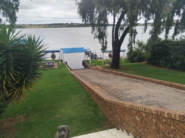 A dog park with a paved path, a brick wall, and a grassy area.