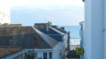 Beach/ocean view