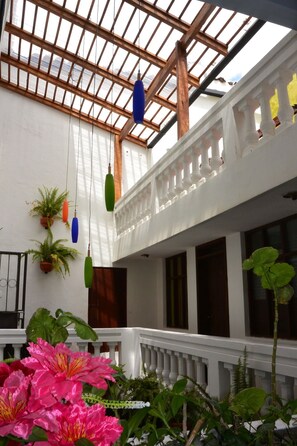 Property grounds - Friends Hostel (Quito)