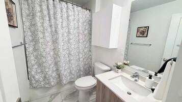 Ducha, secador de pelo y champú