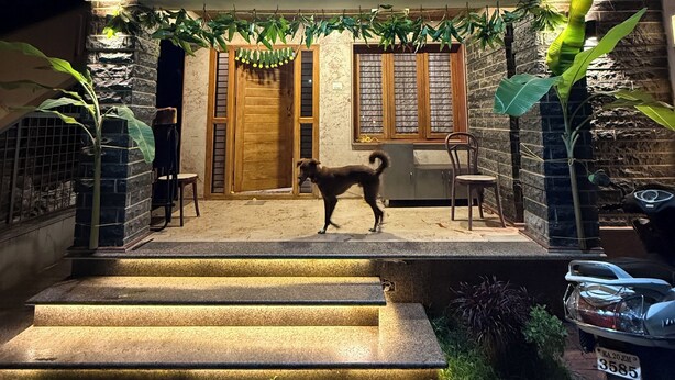 A building with a stone facade, a dog standing on the steps, and a sign above the entrance. - Sadachandra Home Stay (Kundapur)