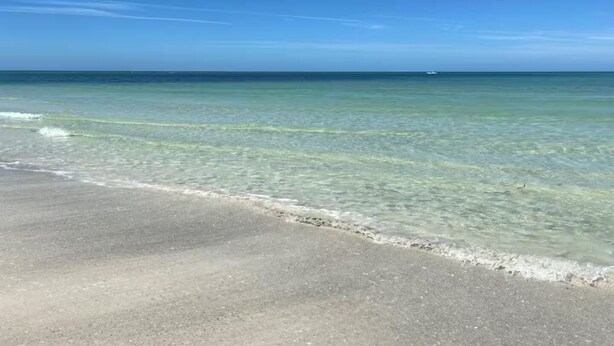 A beach with clear shallow waters and a distant boat. - Steps 2 Sand | Magical Sunsets | Carefree Checkout (Indian Rocks Beach)
