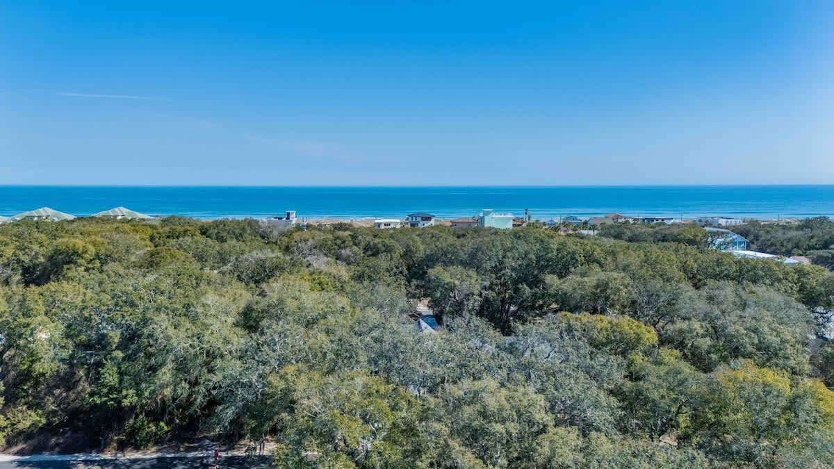Een kustlandschap met weelderige begroeiing, een heldere blauwe lucht en uitzicht op de oceaan.