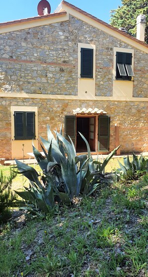 Exterior - Podere Sant'Alfonso – An Ideal Place for Families (Monteverdi Marittimo)