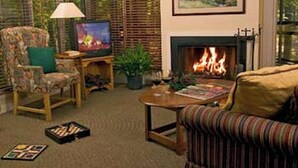A living room with a television, a fireplace, a striped sofa, and a patterned armchair. - Callaway Gardens (Pine Mountain)