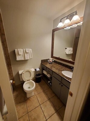 Bathroom - Callaway Gardens (Pine Mountain)