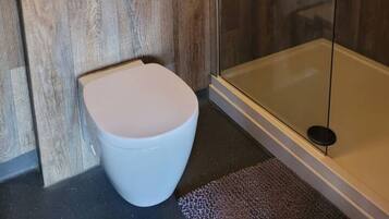 A modern bathroom with a glass-enclosed shower, a white toilet, and a wooden vanity with a built-in light.