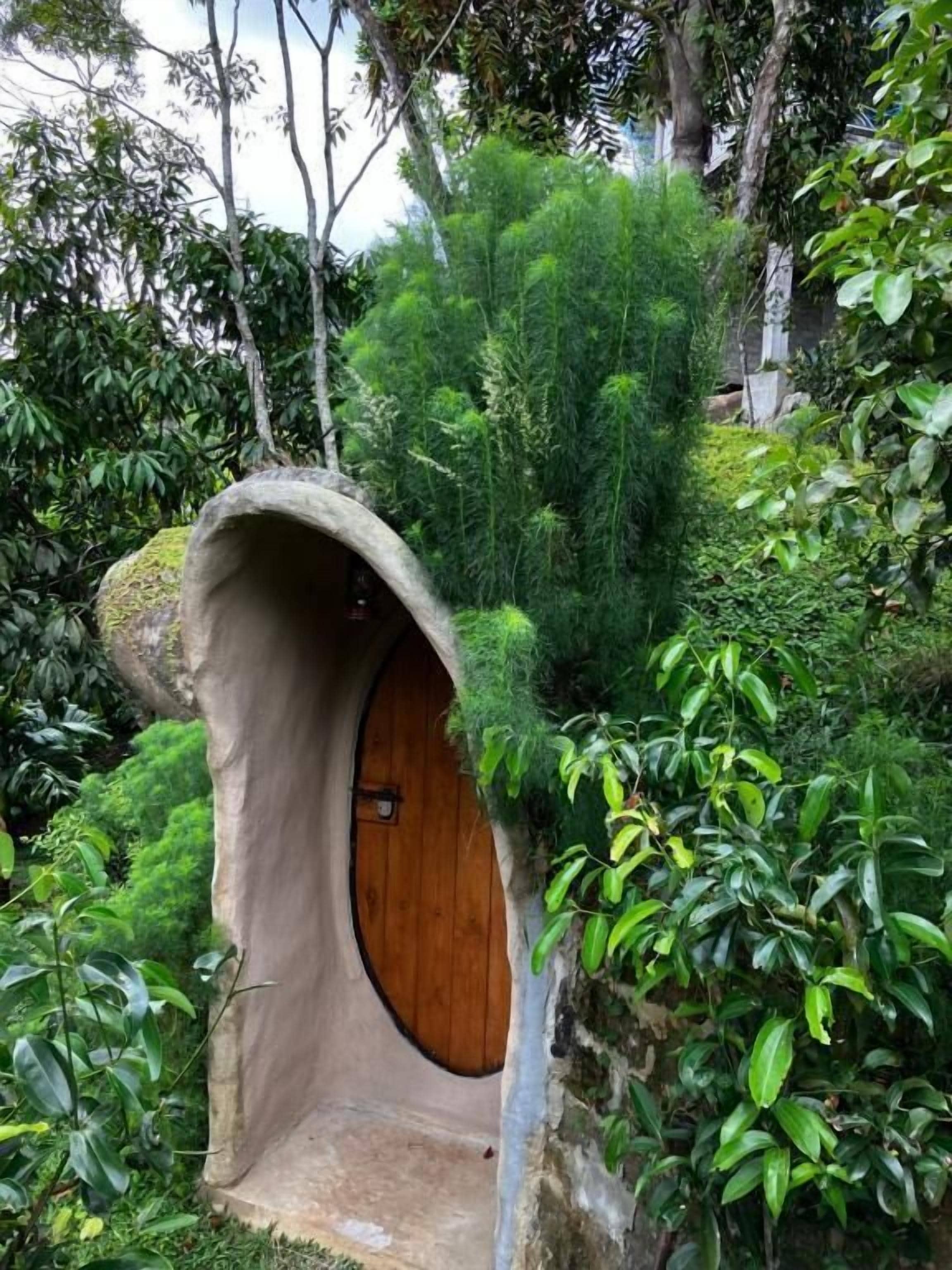 クラシック ダブルルーム マウンテンビュー | 施設の敷地