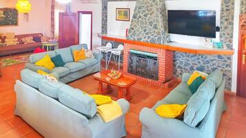 Télévision, cheminée, lecteur de DVD, chaîne hi-fi