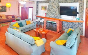 Télévision, cheminée, lecteur de DVD, chaîne hi-fi