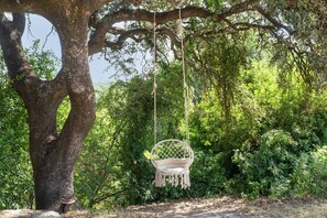 A tree with a hanging swing. - Country House 'La Sierrezuela - Families Only' with Mountain Views, Wi-Fi & Air Conditioning (Posadas)