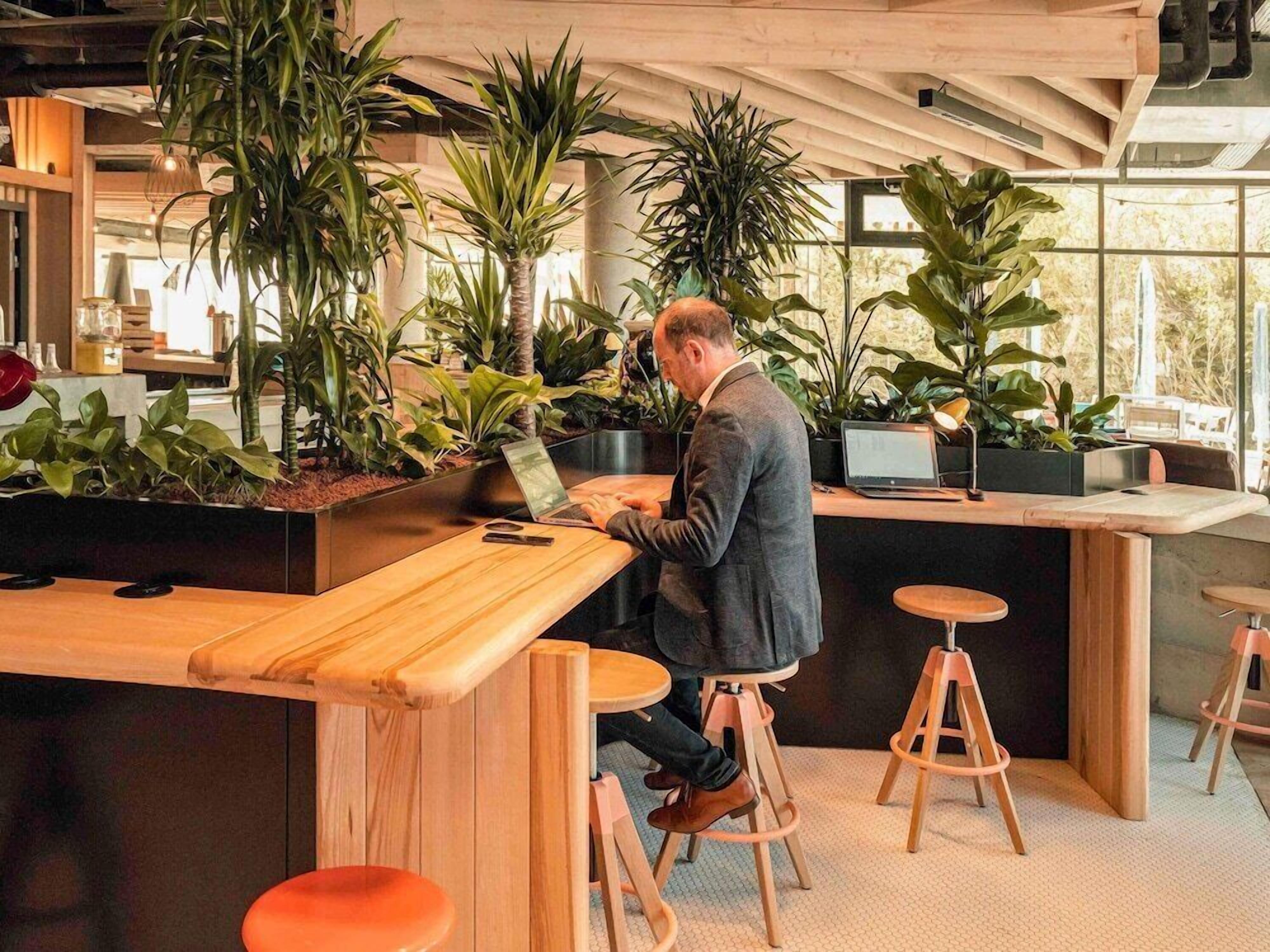 Bar (a l'allotjament)