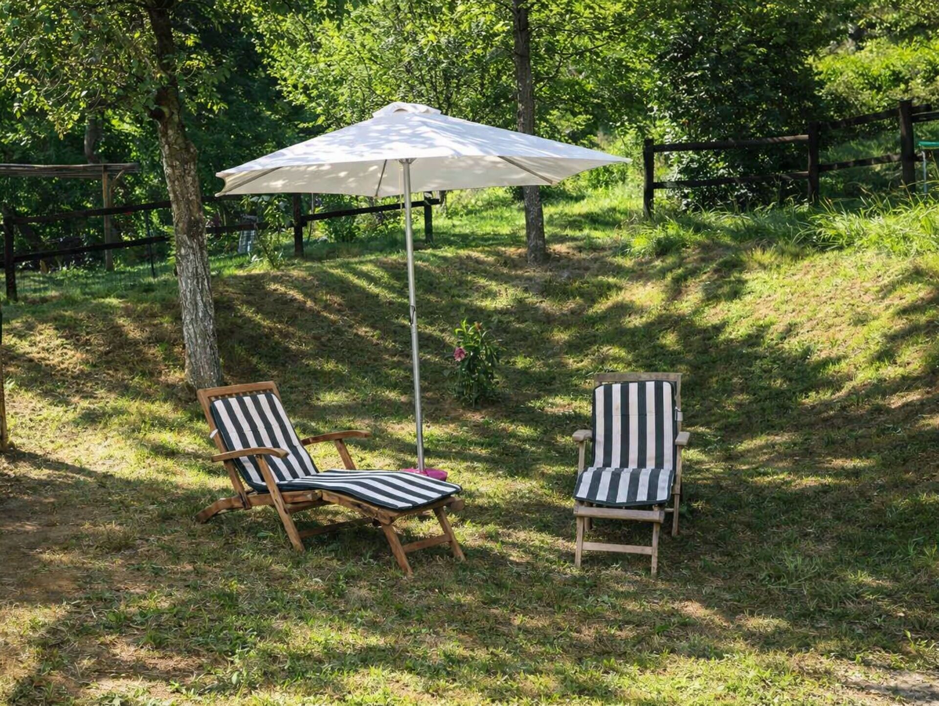 Autumn, Garden, Spring, Summer