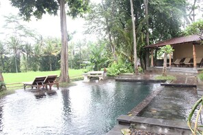 Outdoor pool - Uma Sari Rice Terrace (Mengwi)